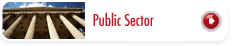 Public Sector